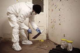 Odor removal after trauma cleanup GTA