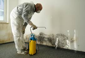 Certified mould inspector checking GTA property